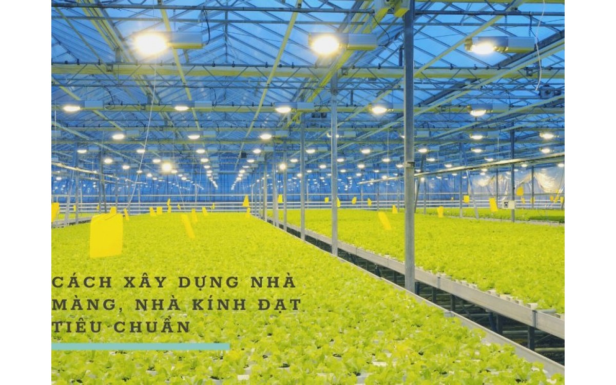 cách xây dựng nhà màng, nhà kính đạt tiêu chuẩn cách xây dựng nhà màng, nhà kính đạt tiêu chuẩn